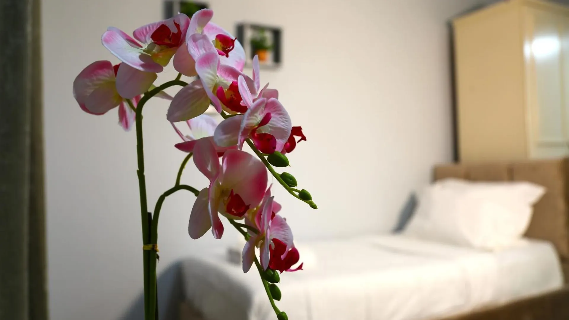 Guesthouse Doanesia Mezez 0*,  Albania